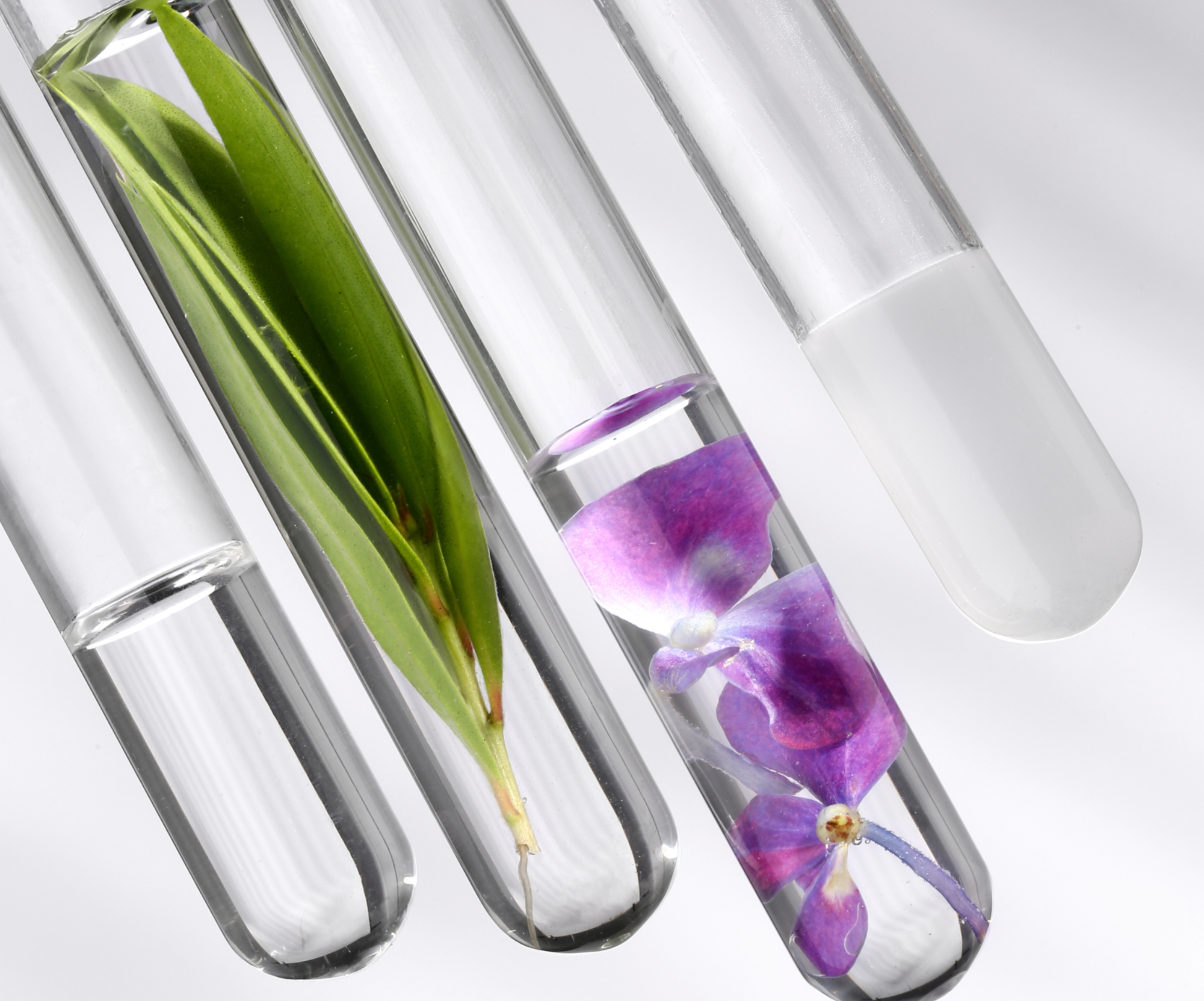 Blemish Treatment Gel